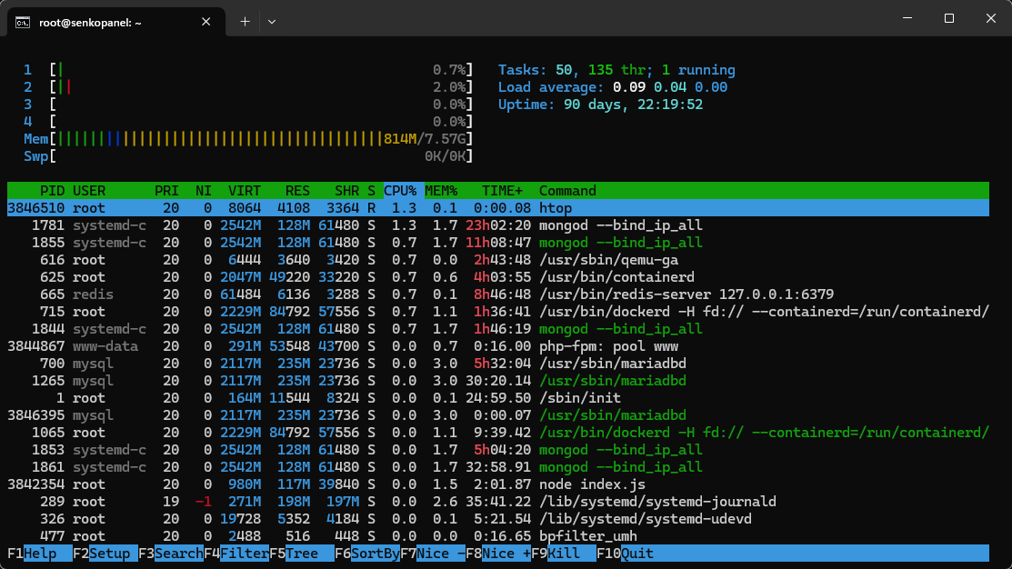 htop at a glance