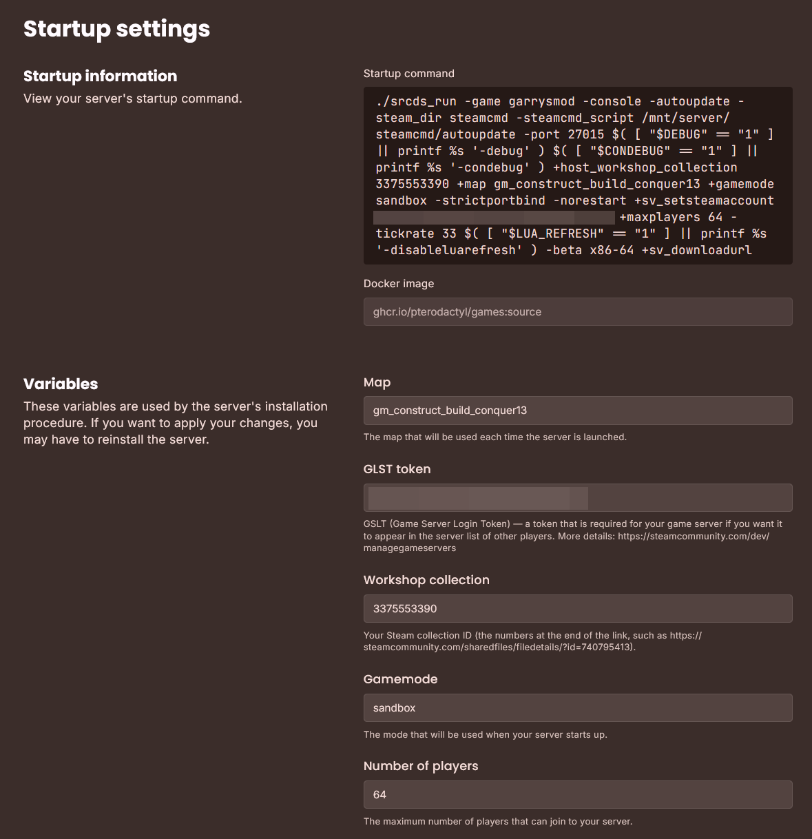 startup parameters for the server