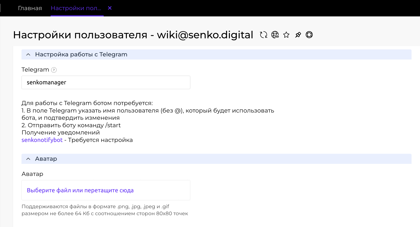 ввод юзернейма в настройках пользователя