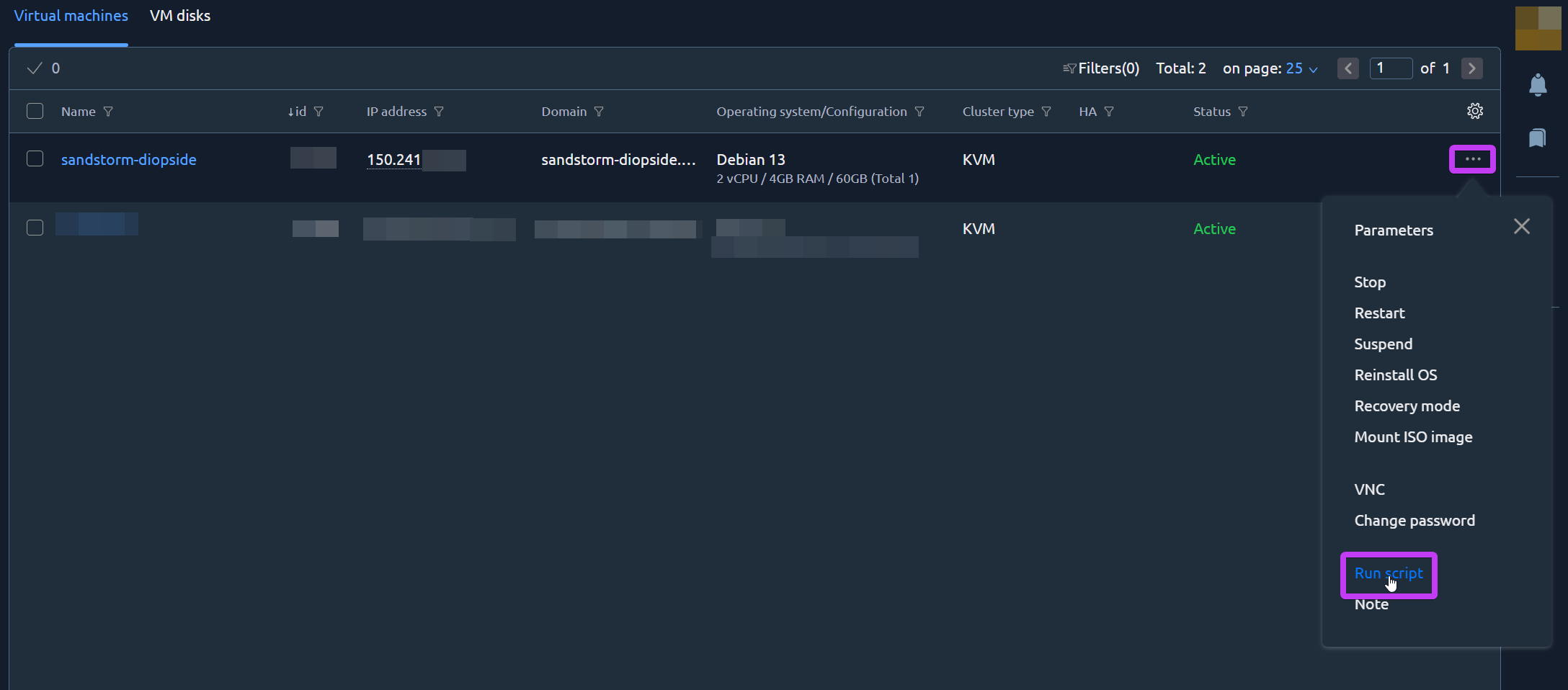 Opening the Run script option from the VM panel menu