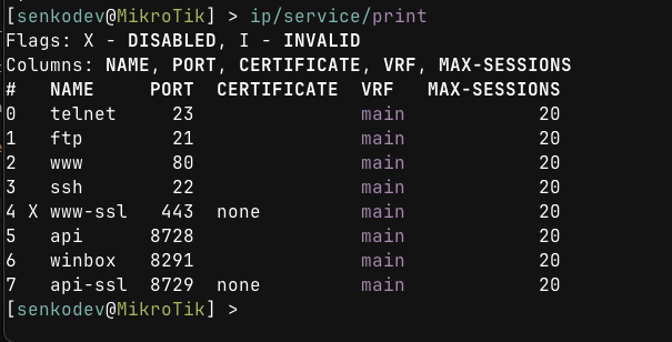 An image showing MikroTik CHR services that run by default