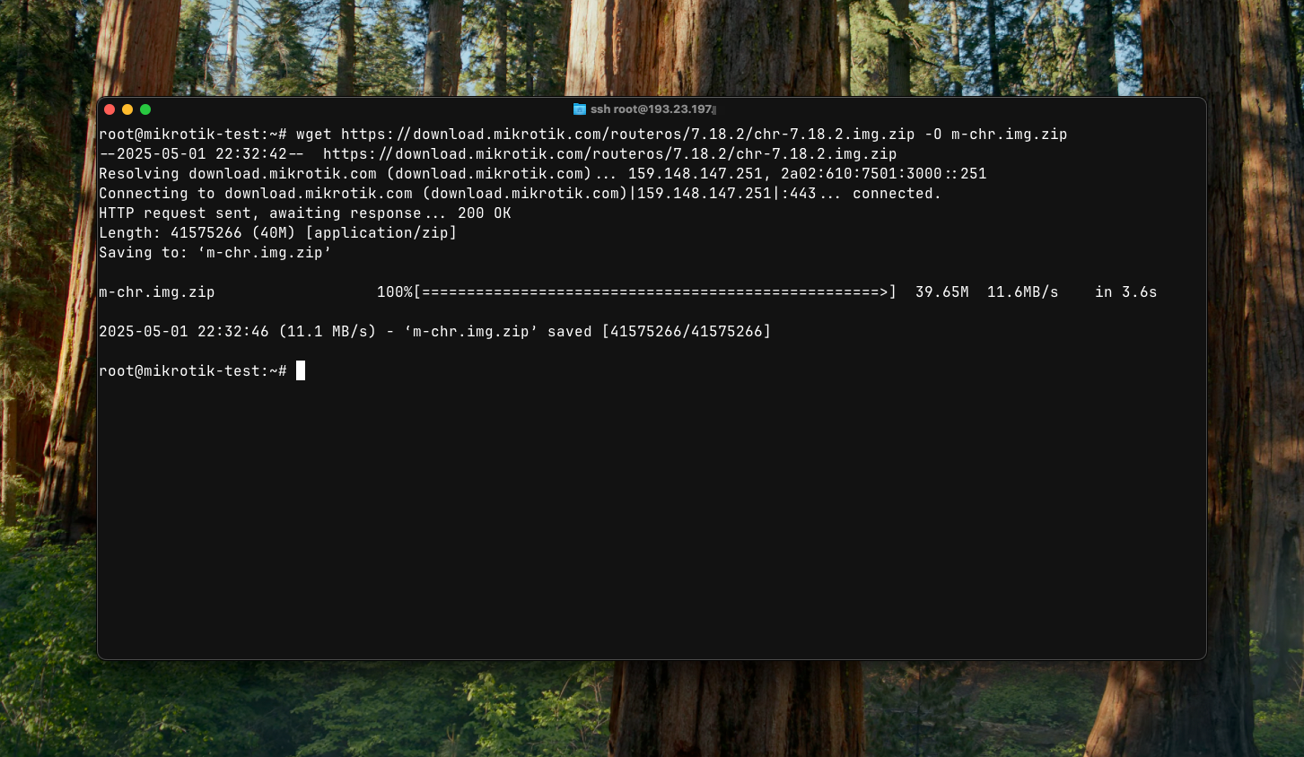 An image showing a successful download of a MikroTik CHR image onto a virtual server