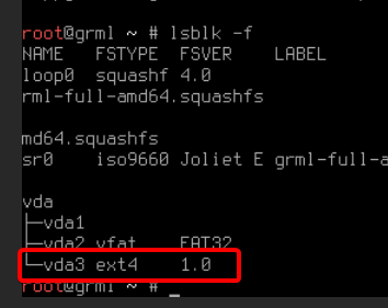 Lsblk command output
