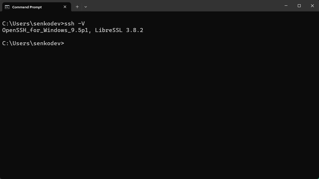 ssh -v output on windows